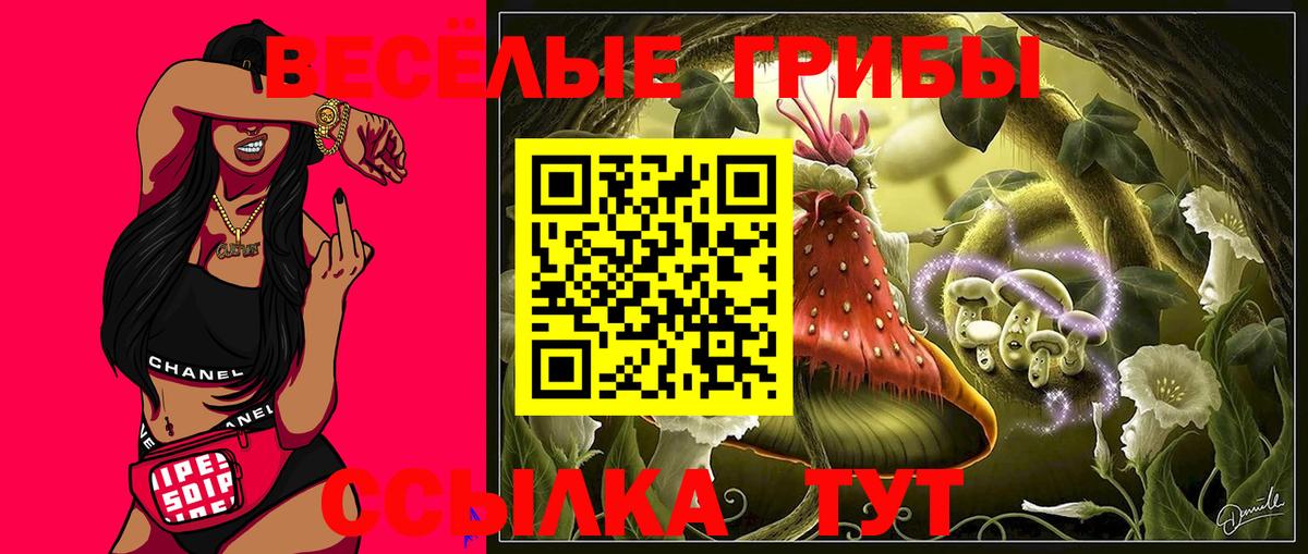 Галлюциногенные грибы MAGIC MUSHROOMS Муром
